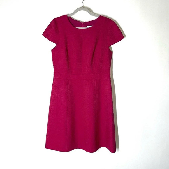 Eliza J Dresses & Skirts - Eliza J Fuchsia Pink Textured Cap Sleeve Dress Size 12